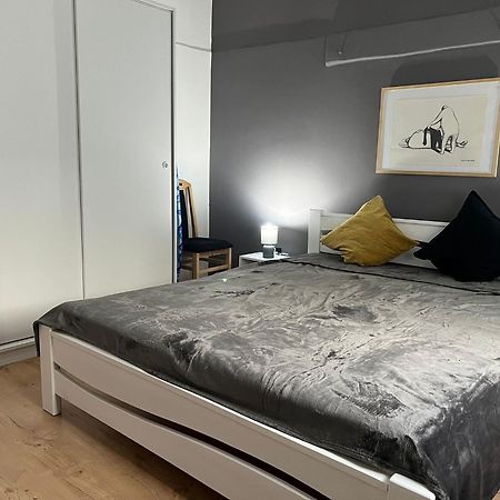 Old Town Belgrade Apartment 外观 照片
